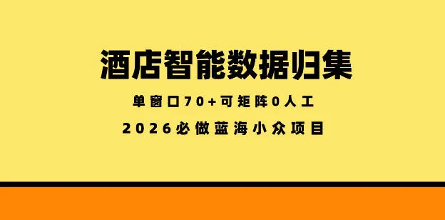 揭秘酒店智能数据归集小众蓝海，零成本矩阵开启稳定新机遇-91教程库