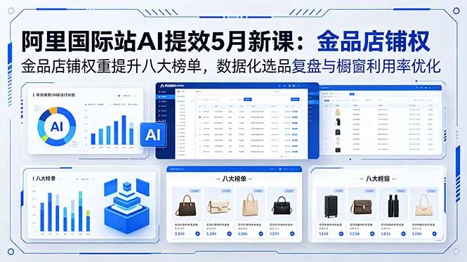 阿里国际站5月AI新课：金品店铺权重榜单提升，选品复盘与橱窗优化-91教程库