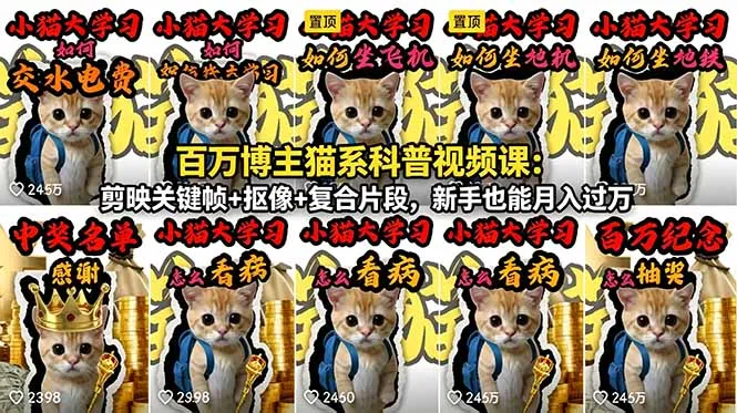 百万博主猫系科普视频课：剪映关键帧等技巧，新手也有可观回报-91教程库