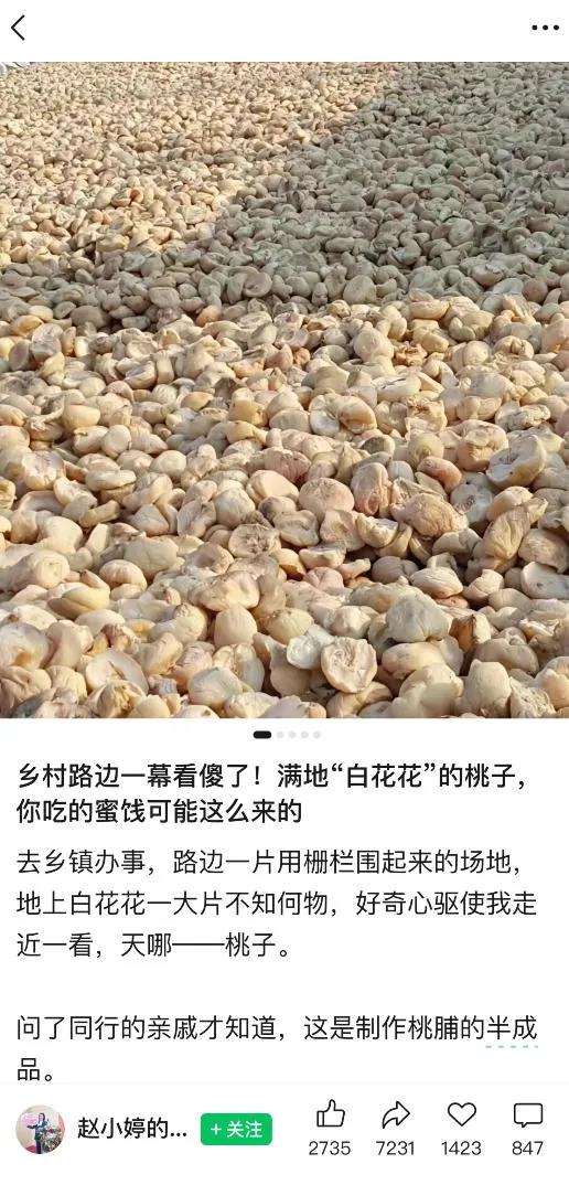 公众号小绿书贴图项目,实操玩法助你少走弯路,可作为副业开展