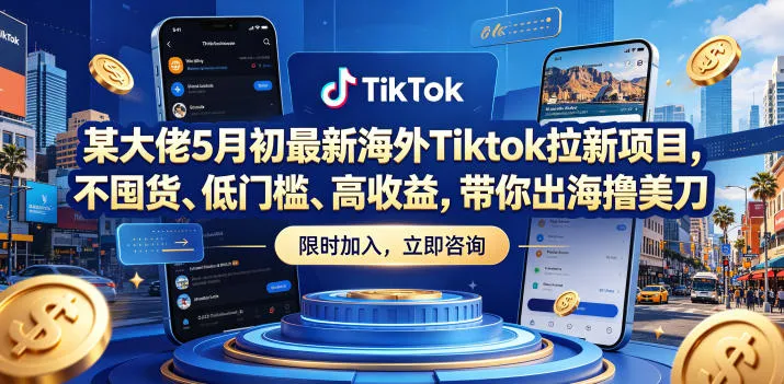 5月大佬揭秘海外Tiktok拉新项目，低门槛高收益出海赚美刀-91教程库