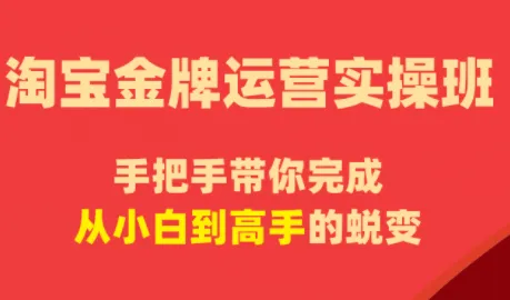 飓风电商淘宝金牌运营实操班，解锁电商运营技巧秘诀-91教程库