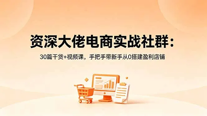 资深电商大佬社群：30篇干货与视频课，助新手0基础搭建盈利店铺-91教程库