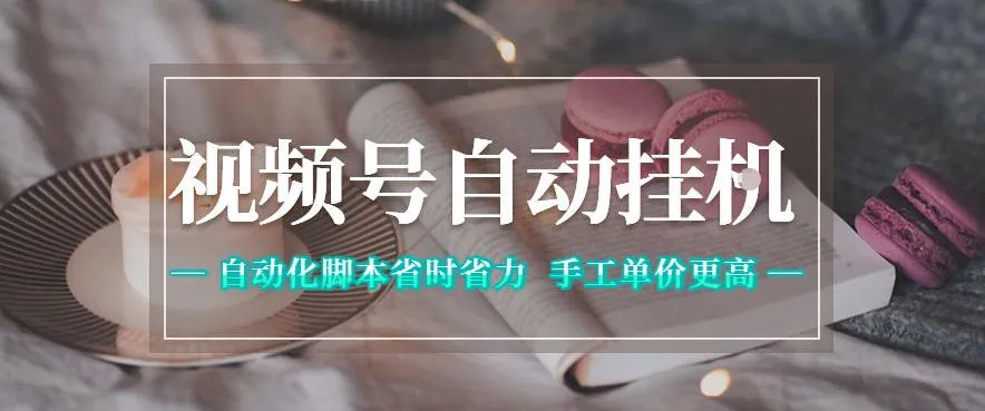 揭秘视频号自动挂G项目：自动化脚本省力，手工单价可观-91教程库