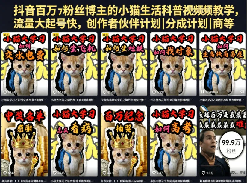抖音百万博主小猫生活科普教学,流量大起号快,多途径获可观回报-91教程库