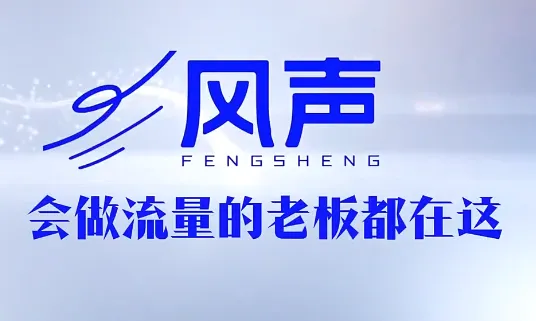董十一·风声短视频AI获客年度会员，开启高收益营销之旅-91教程库
